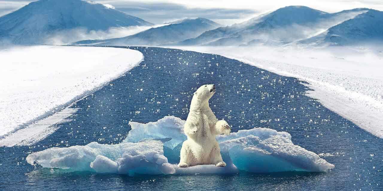 Réchauffement Climatique : Causes, Conséquences et Mesures Préventives