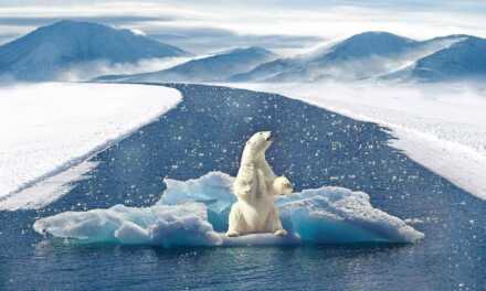 Réchauffement Climatique : Causes, Conséquences et Mesures Préventives