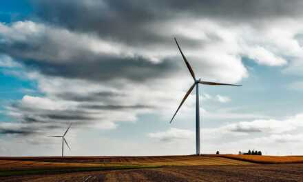 Renewable Energy: Types and Pros and Cons of Each