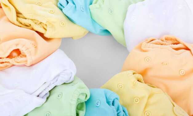 Organic And Ecological Cloth Diapers