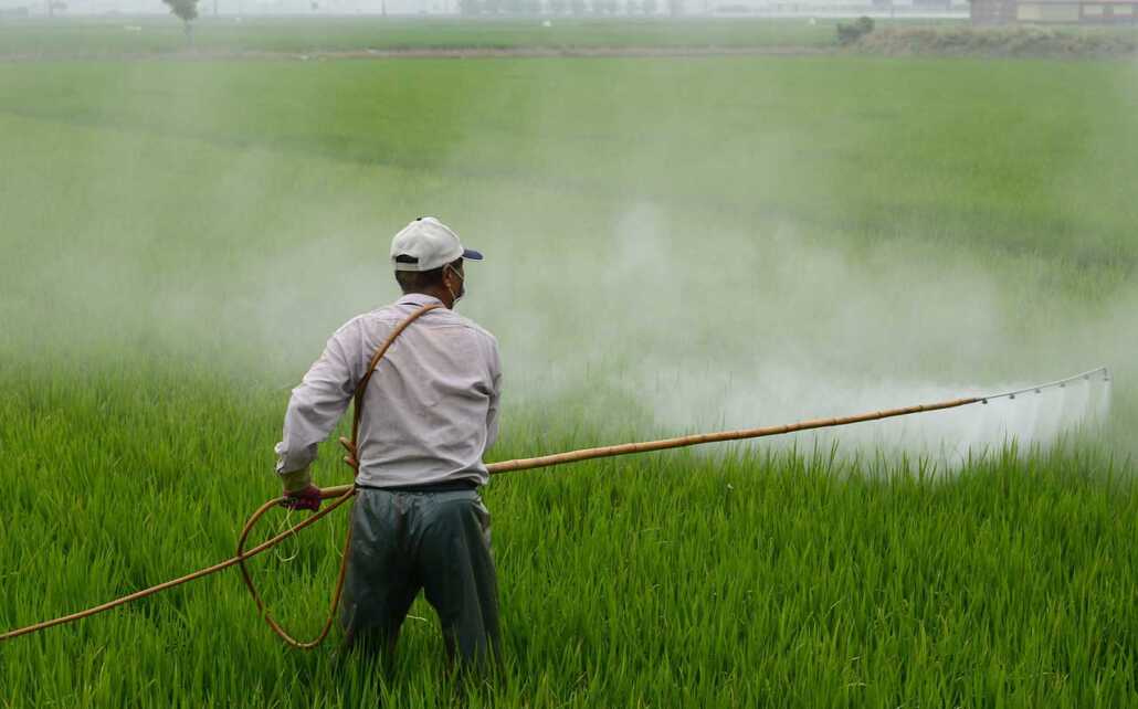 L'agriculture Bio se passe des fertilisants chimiques