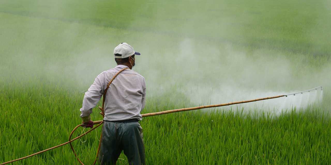Préférez les Pesticides Bio Naturels et Évitez ce qui est Interdit et Dangereux
