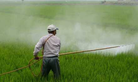 Préférez les Pesticides Bio Naturels et Évitez ce qui est Interdit et Dangereux