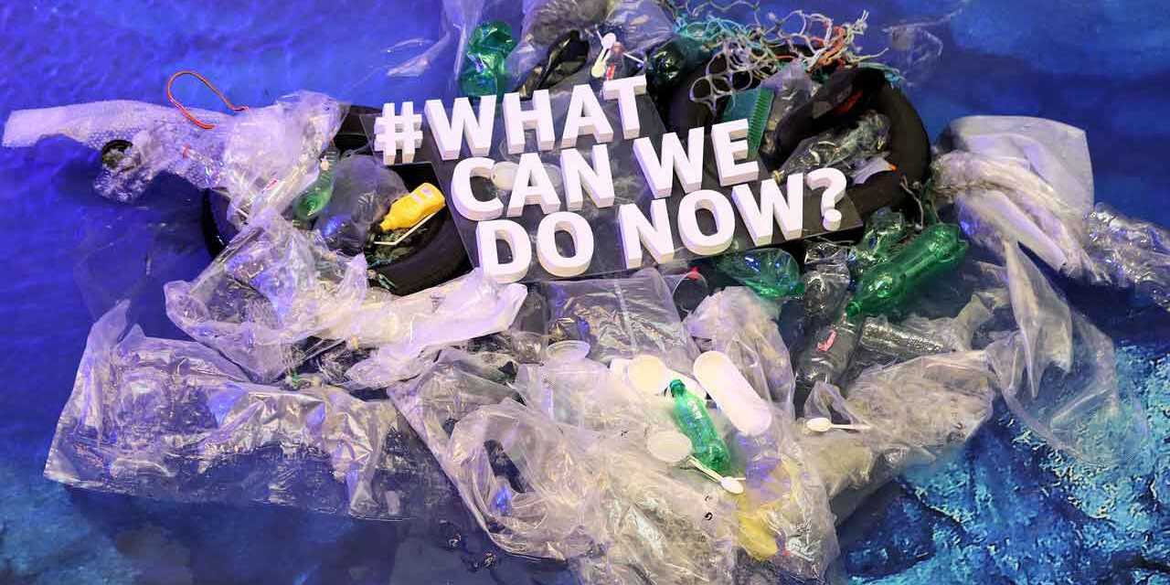 Pollution Plastique : Quels sont ses Impacts et Comment la Limiter ?