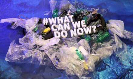 8 faits alarmants de la pollution plastique
