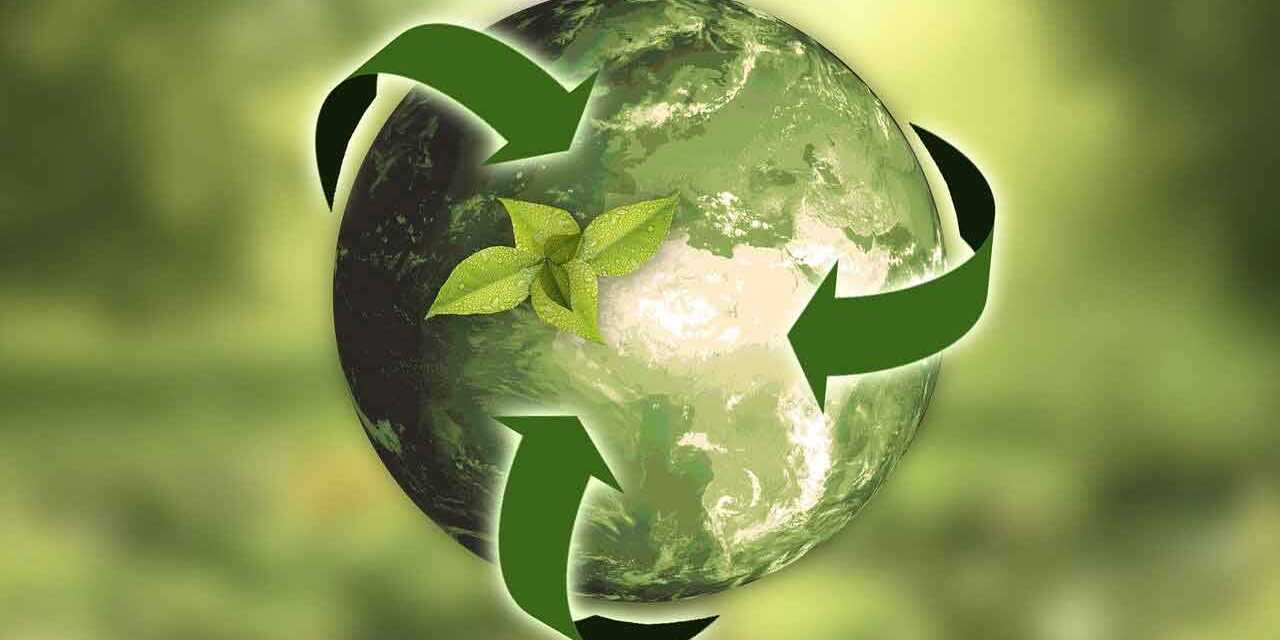 Tout Savoir sur le Recyclage : Pourquoi, Quoi et Comment Recycler ?