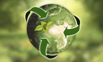 Tout Savoir sur le Recyclage : Pourquoi, Quoi et Comment Recycler ?