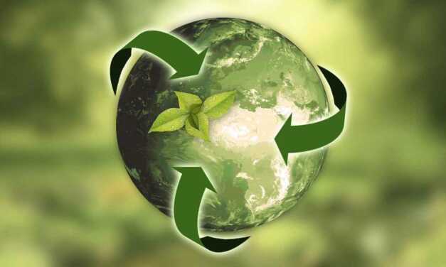 Tout Savoir sur le Recyclage : Pourquoi, Quoi et Comment Recycler ?