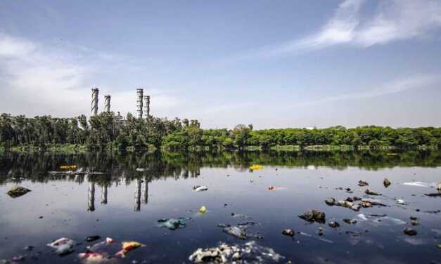 Les Maladies et Problèmes de Santé Liés à l’Environnement