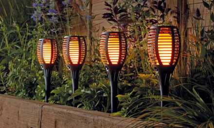 Guide d’achat : quelle borne solaire choisir ?