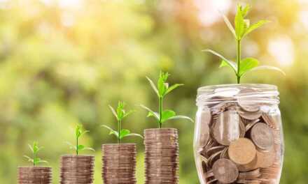 Top 7 des entreprises les plus vertes au monde