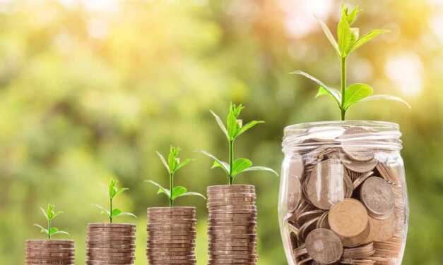 Top 7 des entreprises les plus vertes au monde
