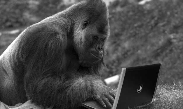 Top 7 des Animaux les Plus Intelligents