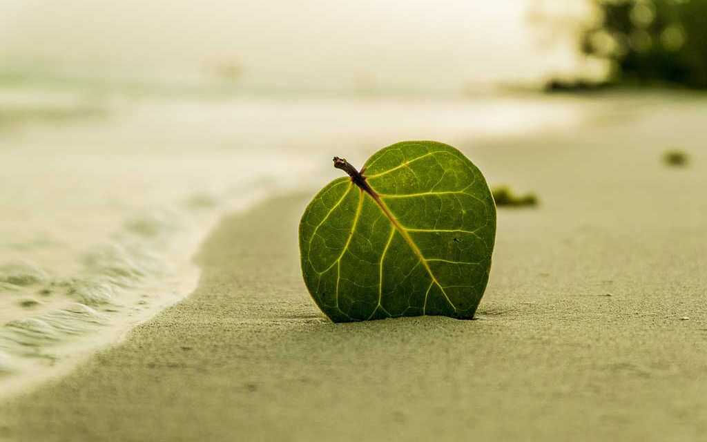 10 gestes simples pour préserver la plage