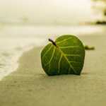 10 gestes simples pour préserver la plage