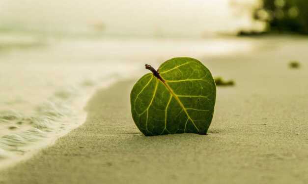 10 gestes simples pour préserver la plage