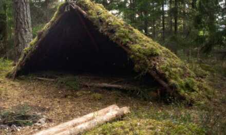7 Compelling Reasons To Be A Prepper
